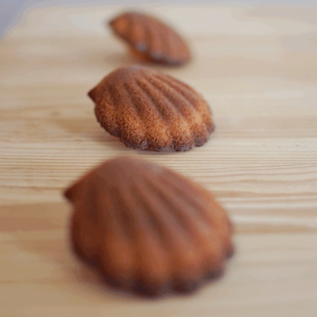 マドレーヌと呼ぶにはもったいない　 1個・5個・10個・20個 ギフト